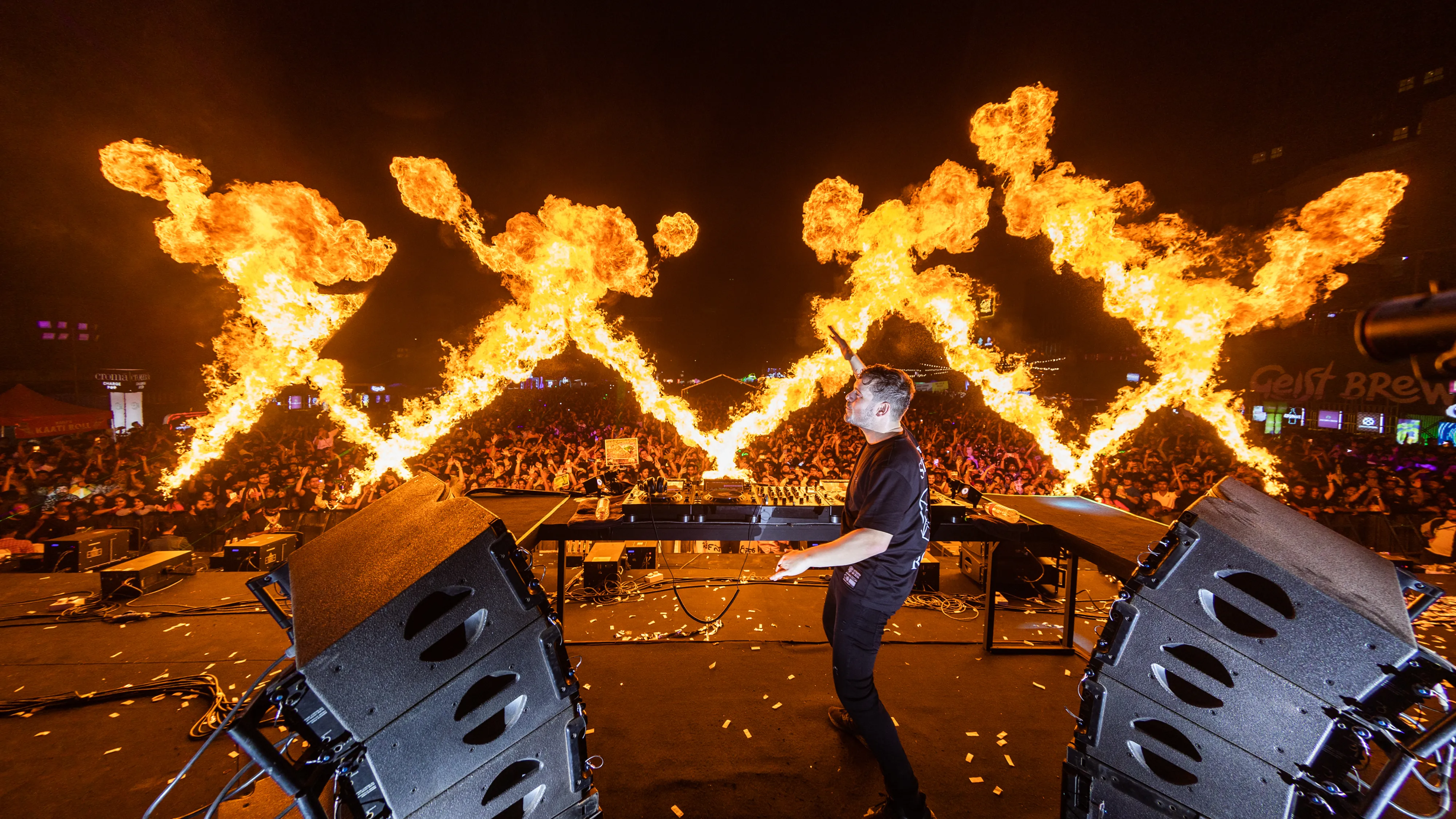 Sunburn Festival campaign